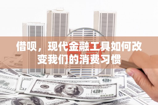 水林借呗，现代金融工具如何改变我们的消费习惯