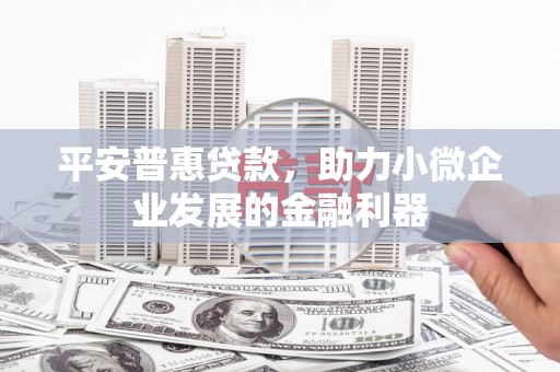 水林平安普惠贷款，助力小微企业发展的金融利器