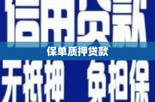 水林保单质押贷款