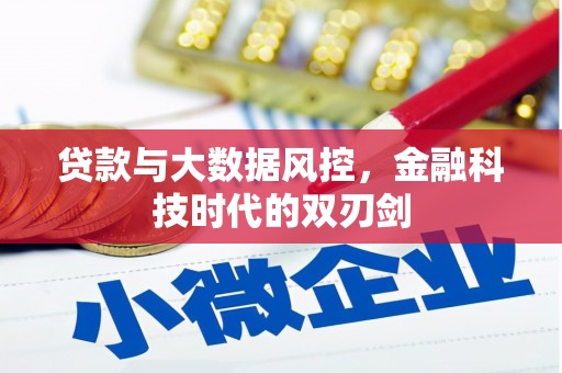 水林贷款与大数据风控，金融科技时代的双刃剑