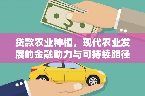 水林贷款农业种植，现代农业发展的金融助力与可持续路径
