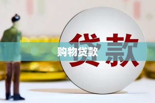 水林购物贷款