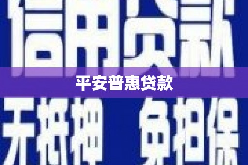 水林平安普惠贷款