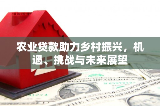 水林农业贷款助力乡村振兴，机遇、挑战与未来展望