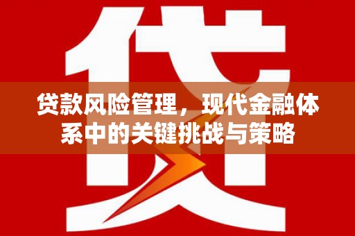 水林贷款风险管理，现代金融体系中的关键挑战与策略