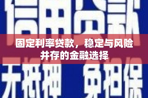 水林固定利率贷款，稳定与风险并存的金融选择