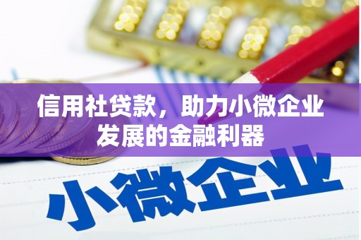 水林信用社贷款，助力小微企业发展的金融利器