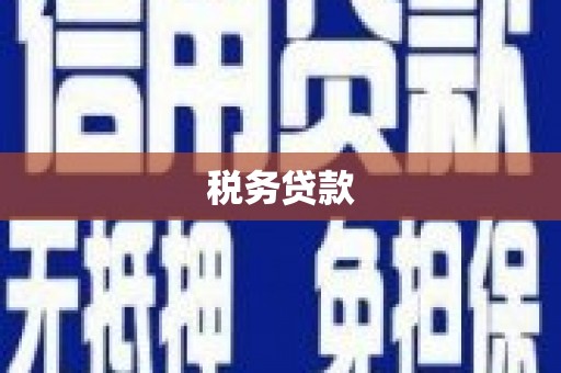 水林税务贷款