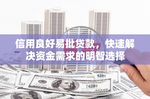 水林信用良好易批贷款，快速解决资金需求的明智选择
