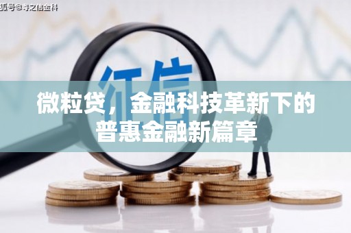 水林微粒贷，金融科技革新下的普惠金融新篇章