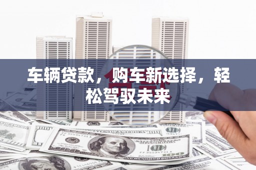 水林车辆贷款，购车新选择，轻松驾驭未来