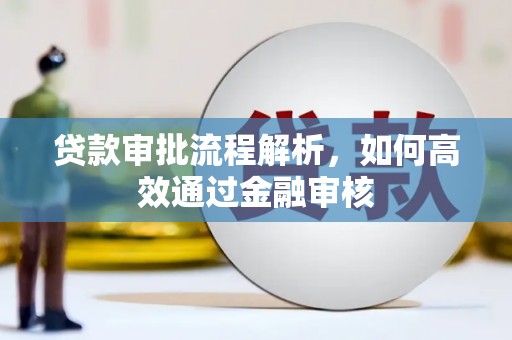 水林贷款审批流程解析，如何高效通过金融审核