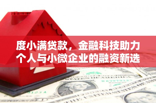 水林度小满贷款，金融科技助力个人与小微企业的融资新选择