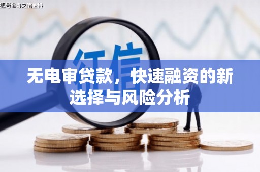 水林无电审贷款，快速融资的新选择与风险分析