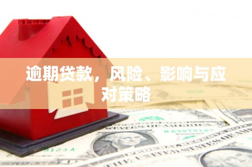 水林逾期贷款，风险、影响与应对策略