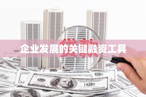 水林企业发展的关键融资工具