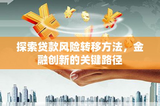 水林探索贷款风险转移方法，金融创新的关键路径
