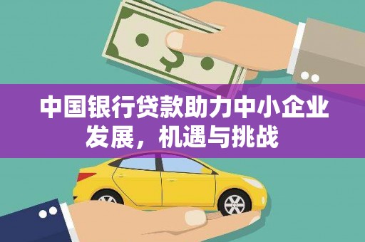 水林中国银行贷款助力中小企业发展，机遇与挑战