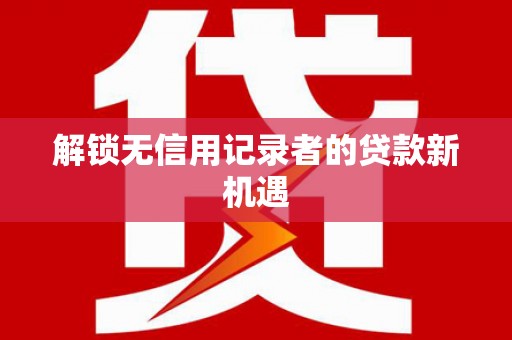 水林解锁无信用记录者的贷款新机遇