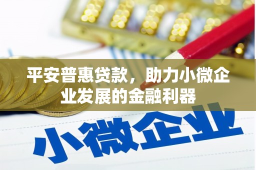 水林平安普惠贷款，助力小微企业发展的金融利器
