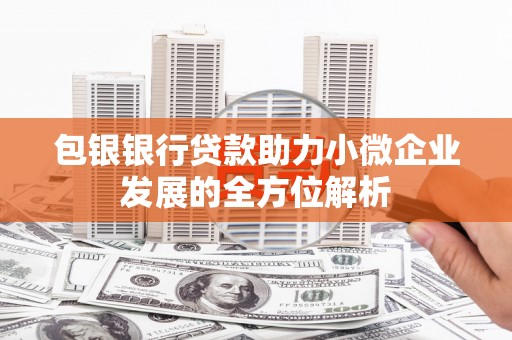 水林包银银行贷款助力小微企业发展的全方位解析