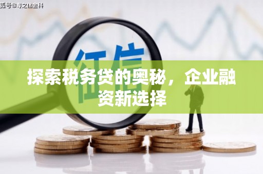 水林探索税务贷的奥秘，企业融资新选择
