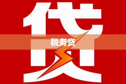 水林税务贷