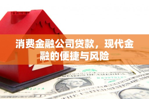 水林消费金融公司贷款，现代金融的便捷与风险
