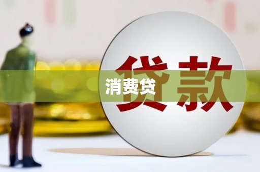 水林消费贷