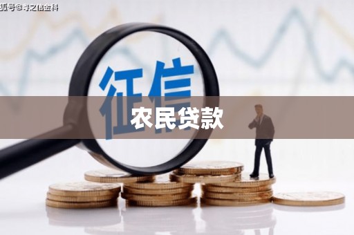 水林农民贷款
