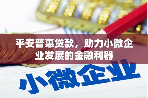 水林平安普惠贷款，助力小微企业发展的金融利器