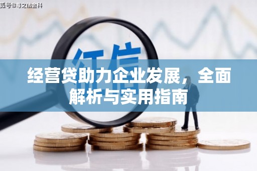 水林经营贷助力企业发展，全面解析与实用指南