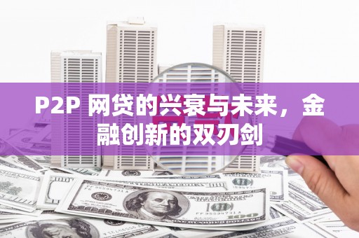 水林P2P 网贷的兴衰与未来，金融创新的双刃剑