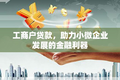 水林工商户贷款，助力小微企业发展的金融利器