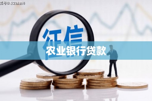 水林农业银行贷款