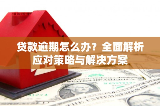 水林贷款逾期怎么办？全面解析应对策略与解决方案