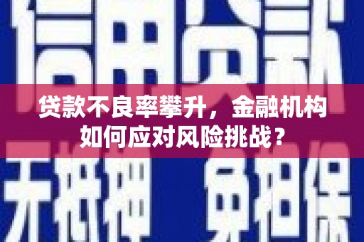 水林贷款不良率攀升，金融机构如何应对风险挑战？