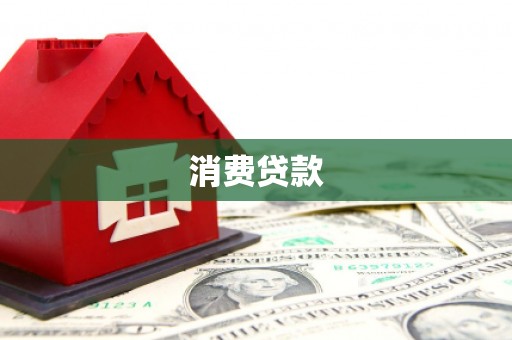 水林消费贷款