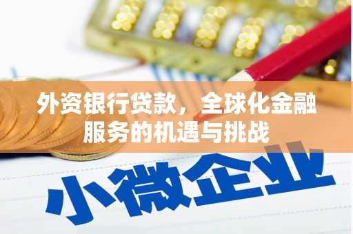 水林外资银行贷款，全球化金融服务的机遇与挑战