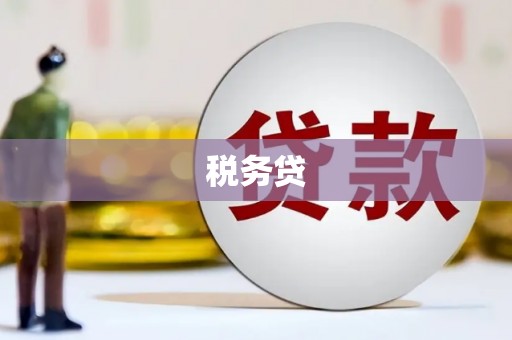 水林税务贷