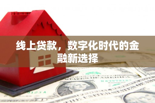水林线上贷款，数字化时代的金融新选择
