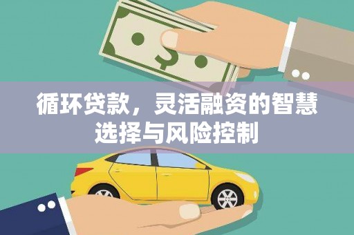 水林循环贷款，灵活融资的智慧选择与风险控制