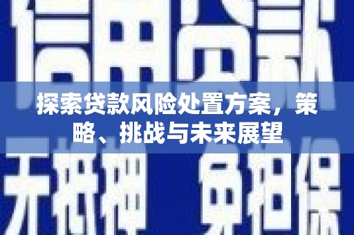 水林探索贷款风险处置方案，策略、挑战与未来展望