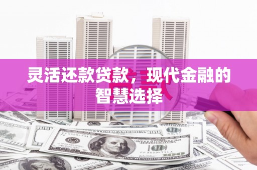 水林灵活还款贷款，现代金融的智慧选择