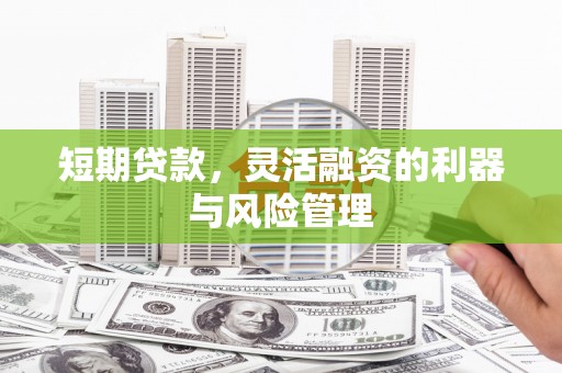 水林短期贷款，灵活融资的利器与风险管理