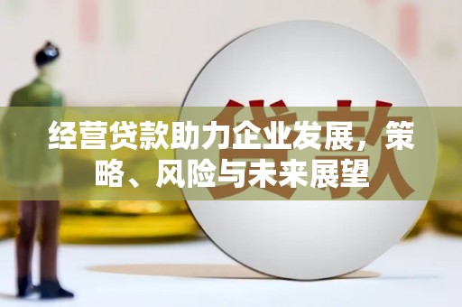 水林经营贷款助力企业发展，策略、风险与未来展望