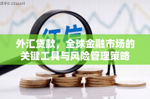水林外汇贷款，全球金融市场的关键工具与风险管理策略