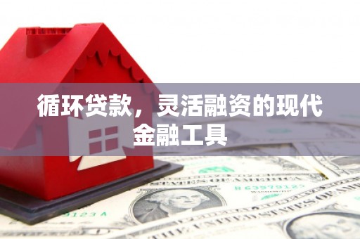 水林循环贷款，灵活融资的现代金融工具