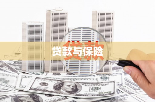 水林贷款与保险