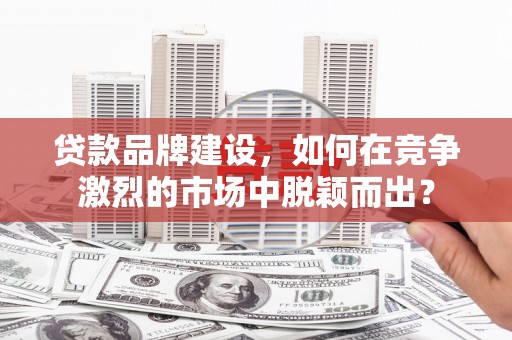 水林贷款品牌建设，如何在竞争激烈的市场中脱颖而出？